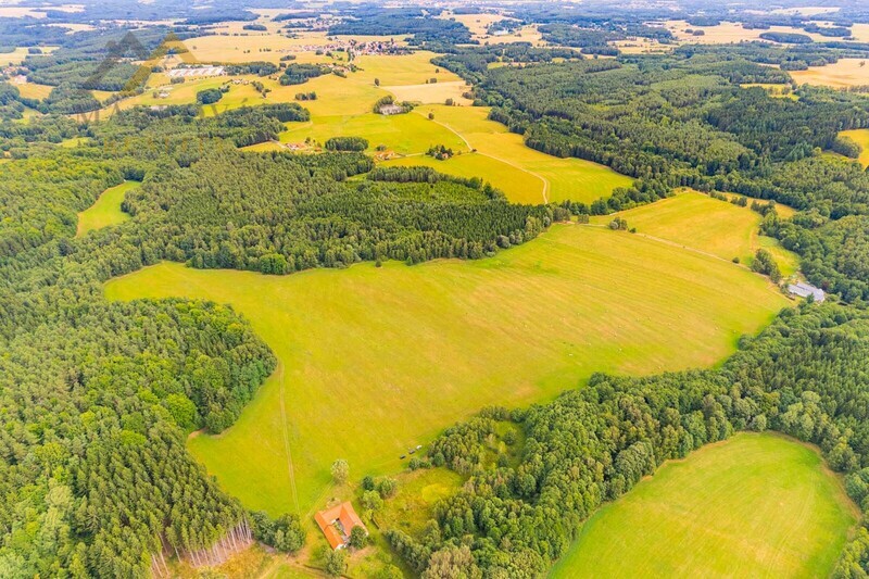 Prodej soubor pozemků, Klení, 98 591 m2
