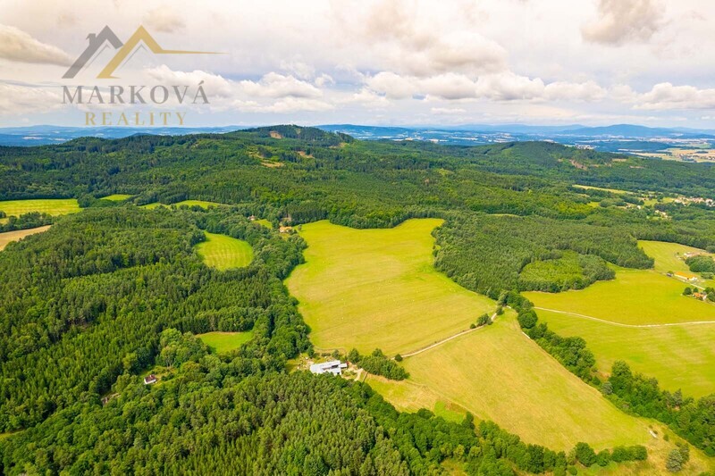 Prodej soubor pozemků, Klení, 98 591 m2