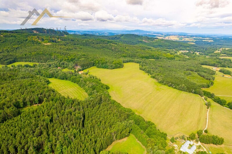 Prodej soubor pozemků, Klení, 98 591 m2