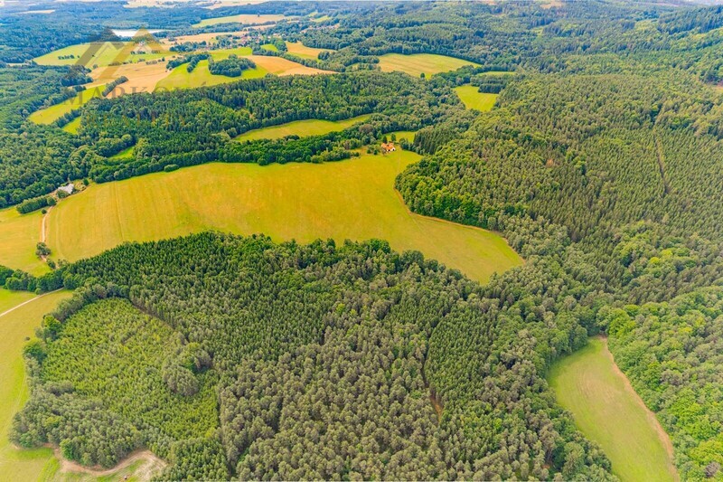 Prodej soubor pozemků, Klení, 98 591 m2