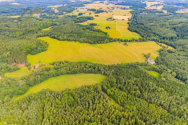 Prodej soubor pozemků, Klení, 98 591 m2