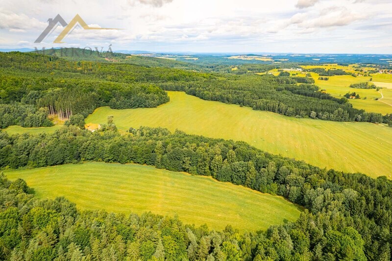 Prodej soubor pozemků, Klení, 98 591 m2