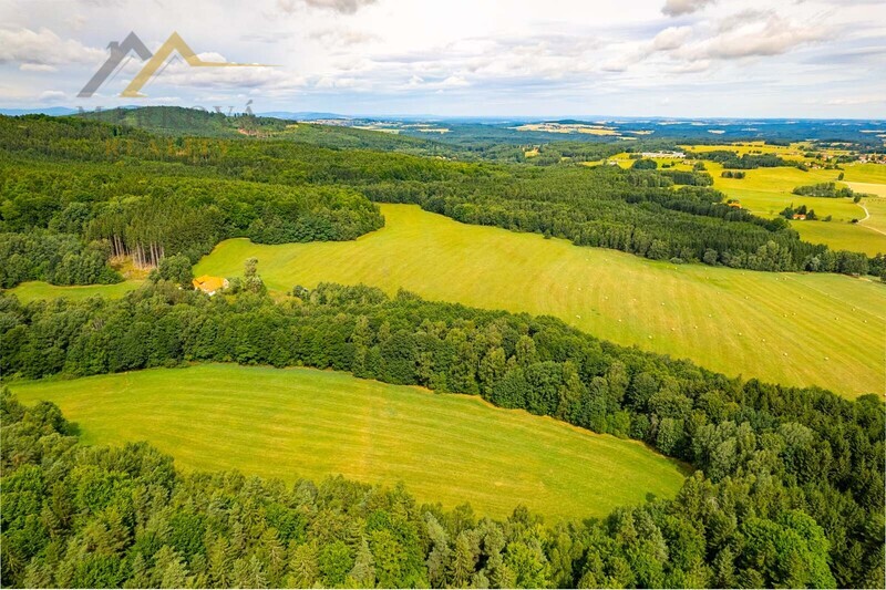 Prodej soubor pozemků, Klení, 98 591 m2