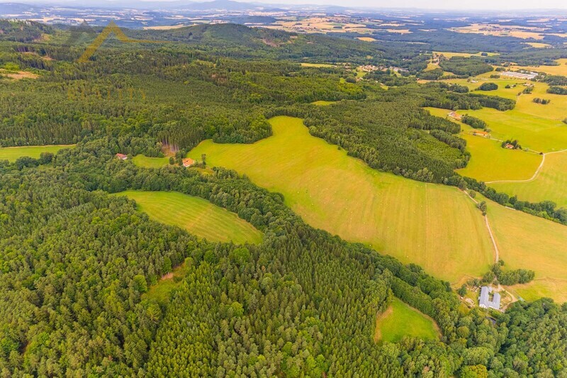 Prodej soubor pozemků, Klení, 98 591 m2