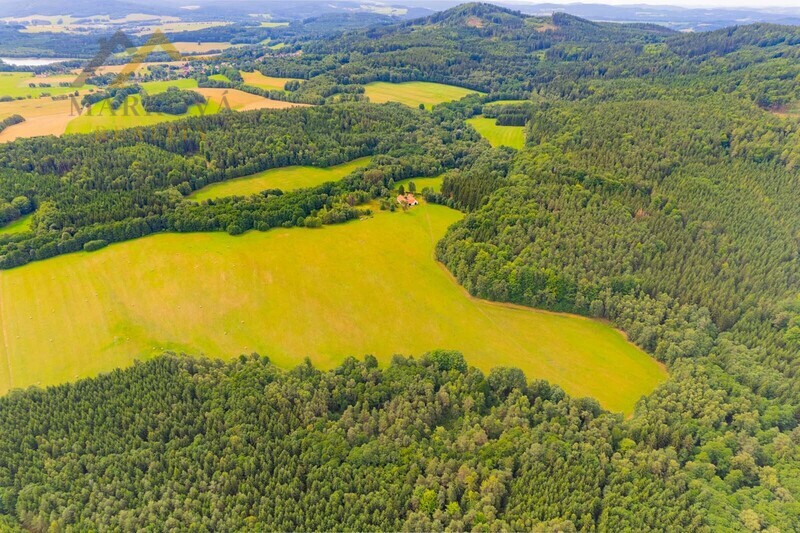 Prodej soubor pozemků, Klení, 98 591 m2
