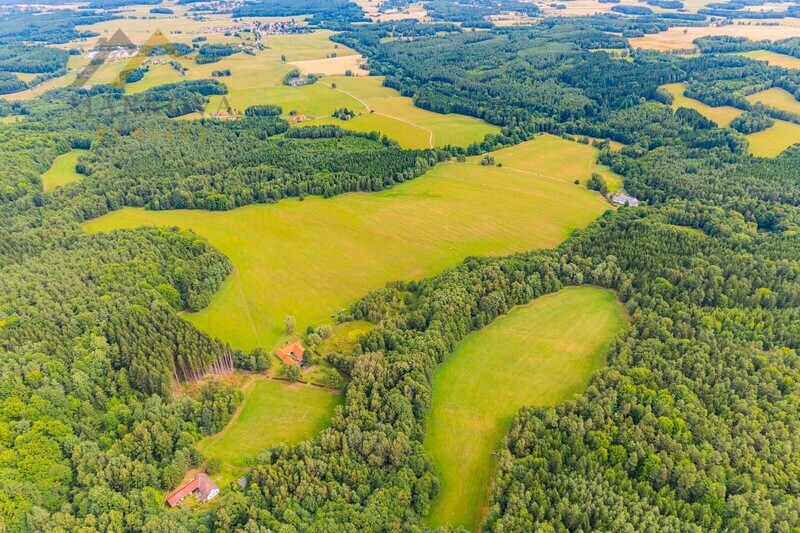 Prodej soubor pozemků, Klení, 98 591 m2