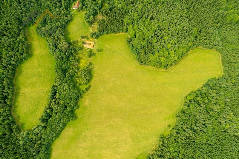 Prodej soubor pozemků, Klení, 98 591 m2