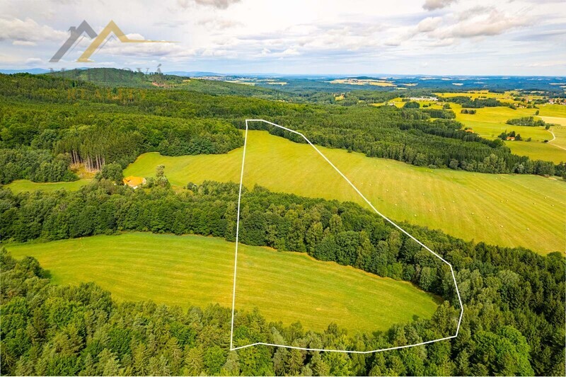 Prodej soubor pozemků, Klení, 98 591 m2