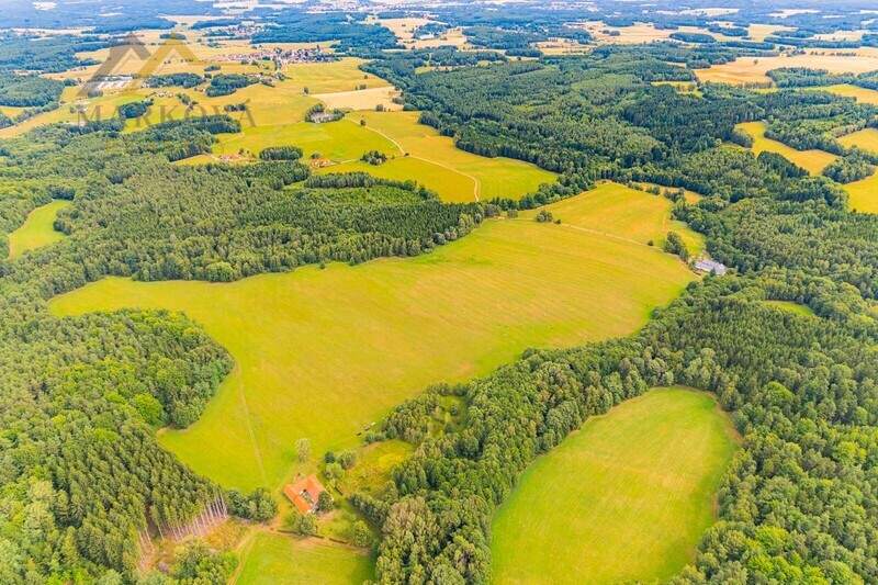 Prodej soubor pozemků, Klení, 98 591 m2