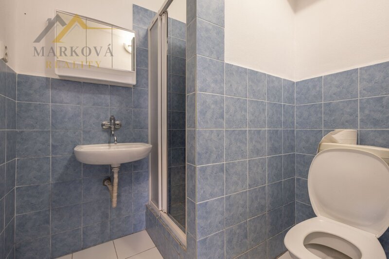 Komerční areál – autodílna a pneuservis s bytovými jednotkami, 887 m², Týn nad Vltavou – Malá Strana