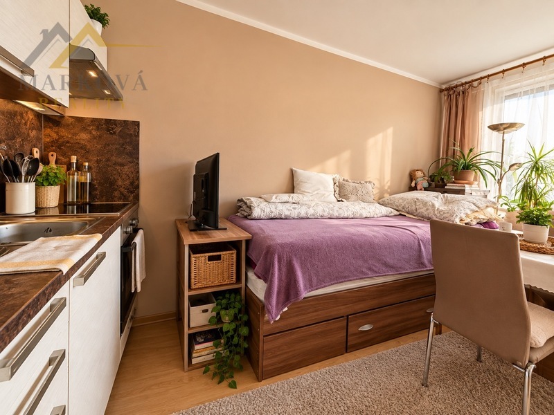 Prodej 1kk, 20 m2, České Budějovice, ul Staroměstská