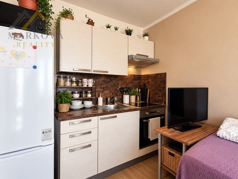 Prodej 1kk, 20 m2, České Budějovice, ul Staroměstská
