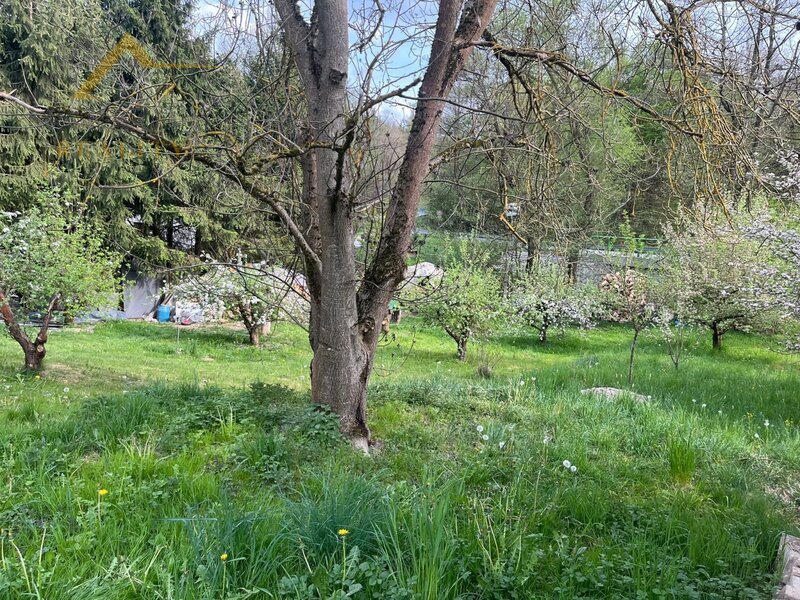 Prodej, rekreační chata, Újezd, 515 m²