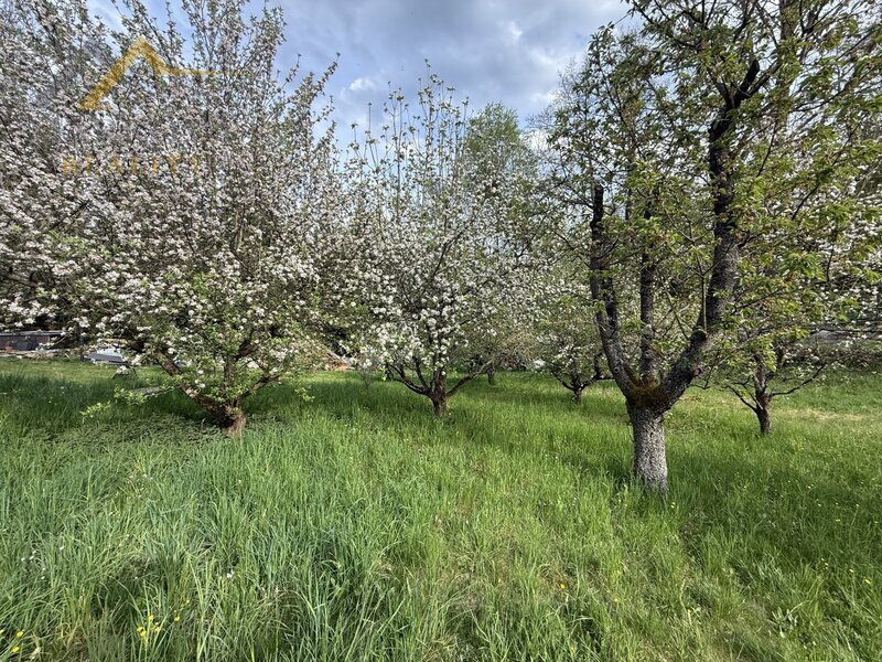 Prodej, rekreační chata, Újezd, 515 m²