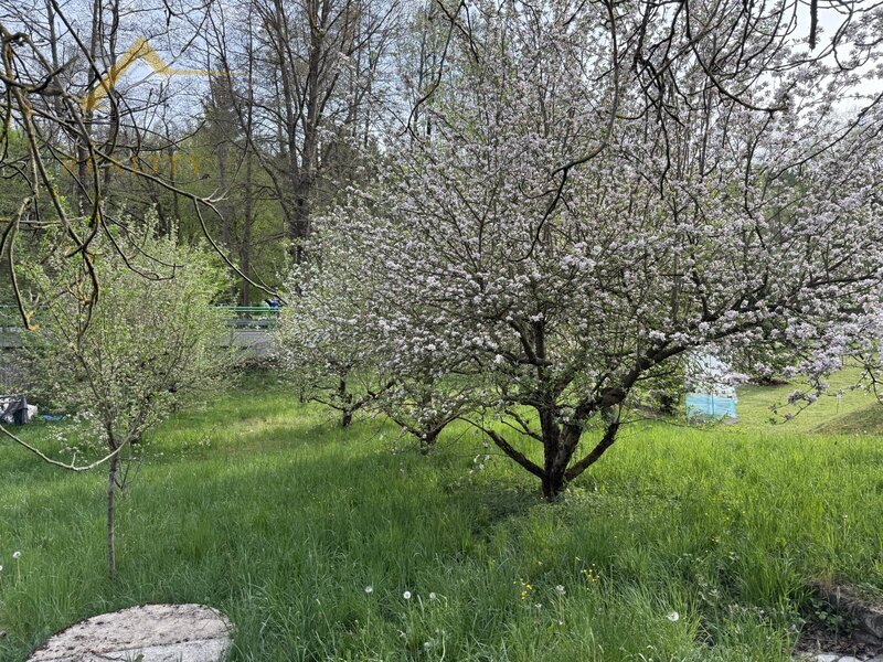 Prodej, rekreační chata, Újezd, 515 m²