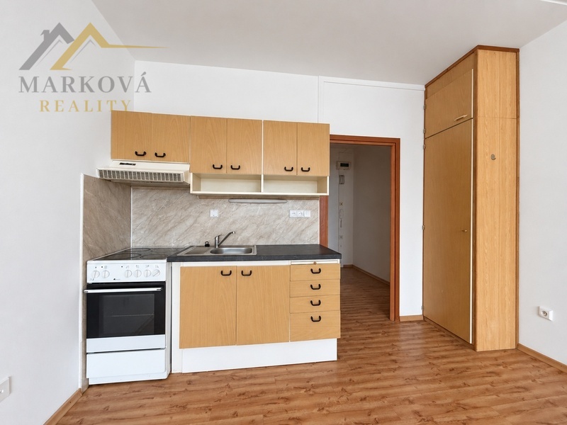 Prodej, družstevní byt 1+kk se sklepní kójí, Týn nad Vltavou, Hlinecká