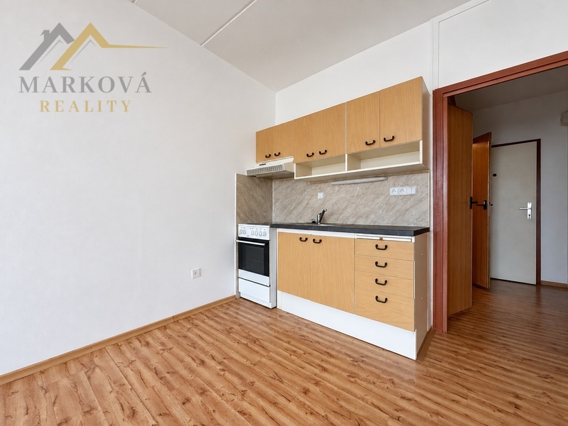 Prodej, družstevní byt 1+kk se sklepní kójí, Týn nad Vltavou, Hlinecká