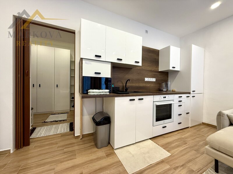 Pronájem, byt 1kk s terasou a přístupem do zahrady, 30 m2, Písek, ul. Dvořákova