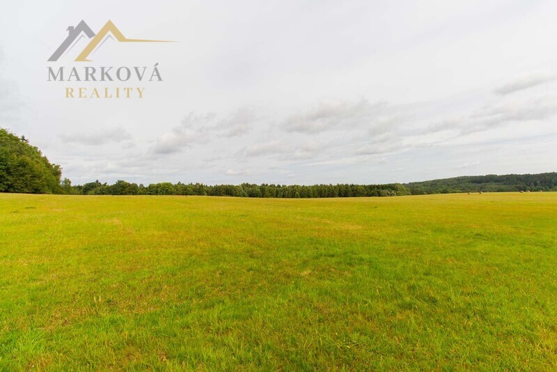 Prodej souboru pozemků, Klení, 98 591 m2