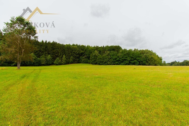 Prodej souboru pozemků, Klení, 98 591 m2