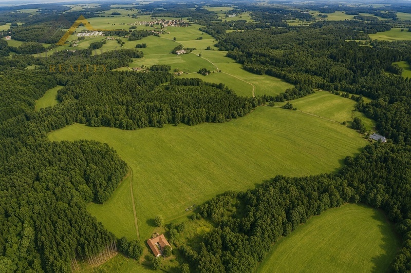 Prodej souboru pozemků, Klení, 98 591 m2