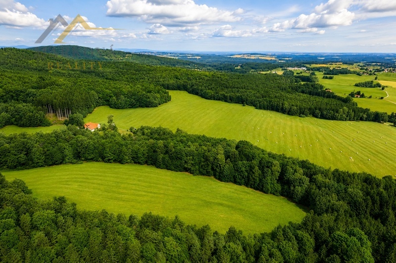 Prodej souboru pozemků, Klení, 98 591 m2