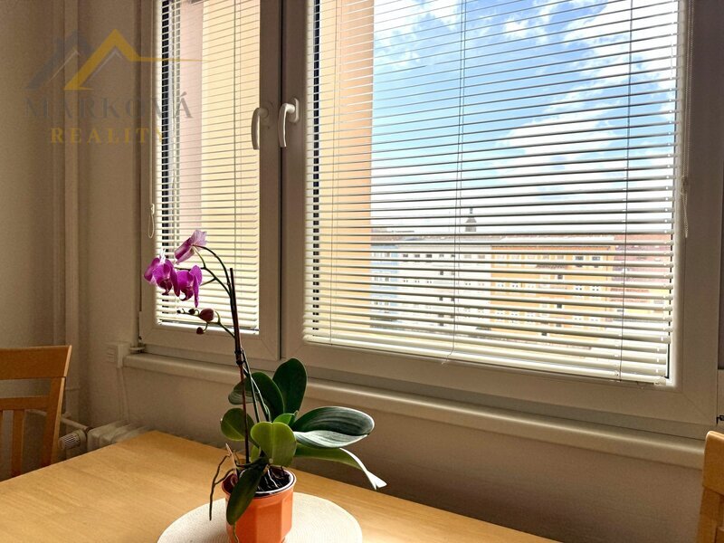 Pronájem, byt 3+1, 66,8 m2, ul. Lidická třída, České Budějovice