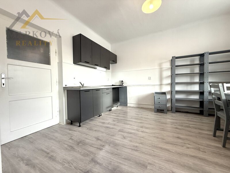 Pronájem, dvě bytové jednotky v rodinném domě, České Budějovice, Nemanice