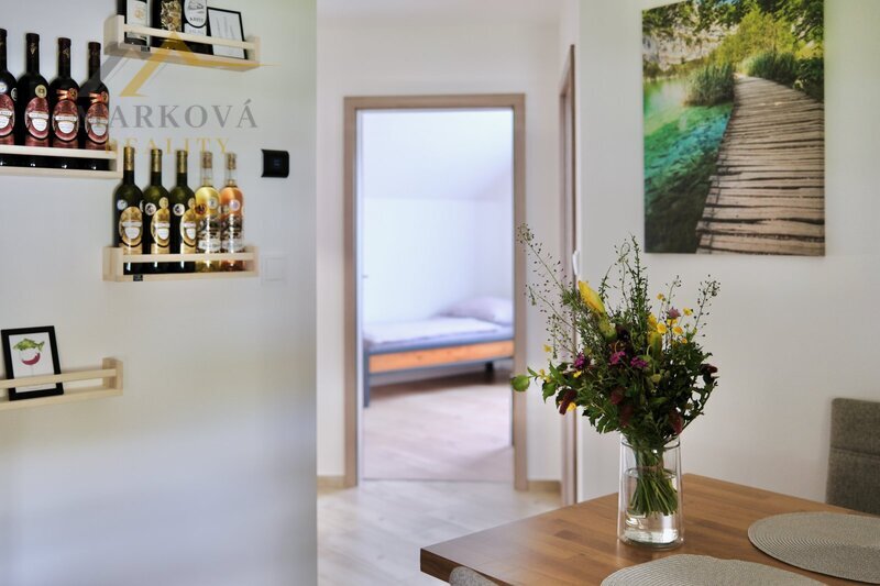 Prodej, byt / apartmán, 2+1 se zahradou, 45,8 m², novostavba, Stachy