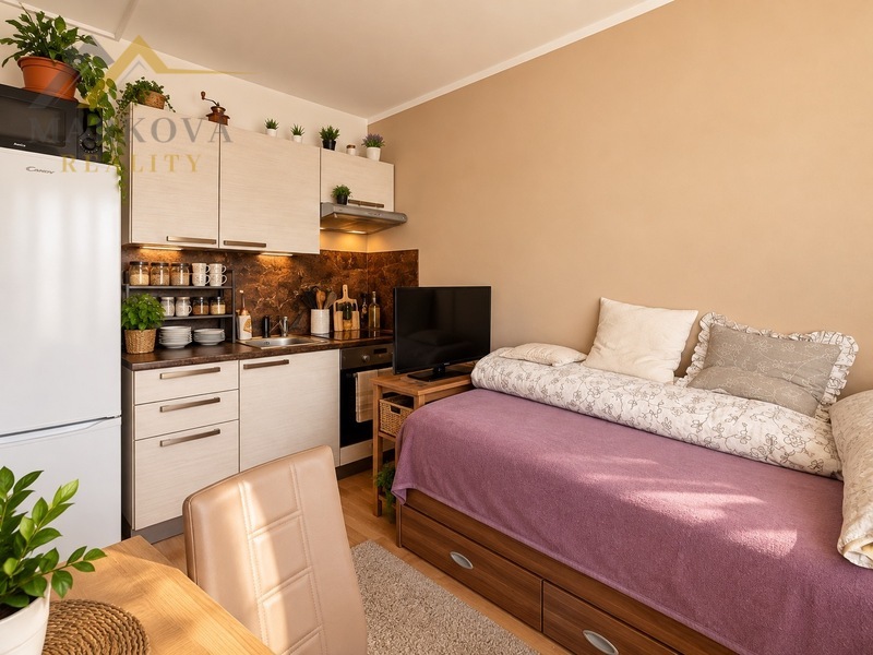 Prodej 1kk, 20 m2, České Budějovice, ul Staroměstská