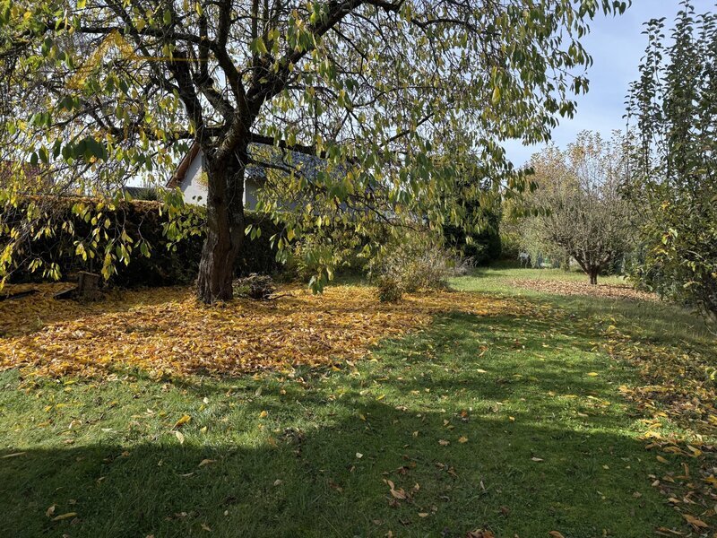 Prodej, rekreační chata s pozemkem, Ševětín, ul. 9. května, 650 m²