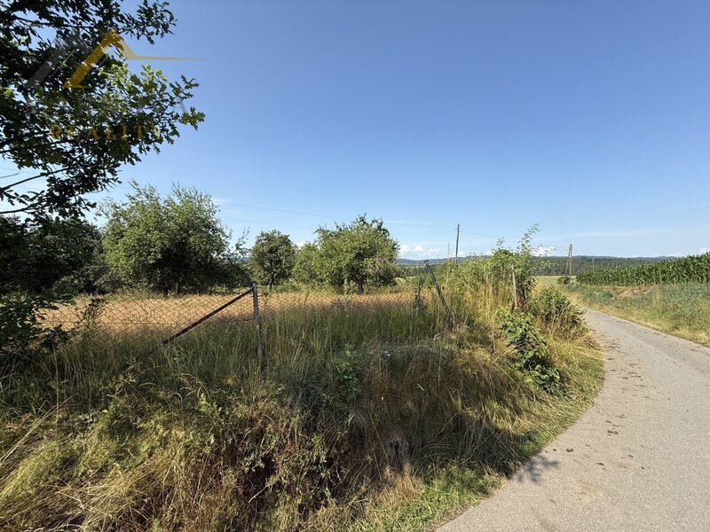 Prodej, rodinný dům, hospodářské budovy, rozlehlý pozemek 7132 m², Doubrava