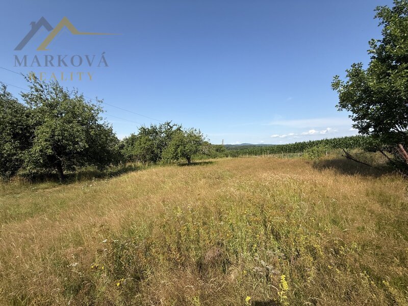 Prodej, rodinný dům, hospodářské budovy, rozlehlý pozemek 7132 m², Doubrava