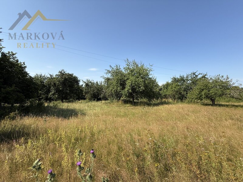 Prodej, rodinný dům, hospodářské budovy, rozlehlý pozemek 7132 m², Doubrava