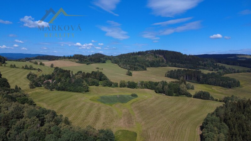 Prodej, rodinný dům, Bujanov, 4 179 m²