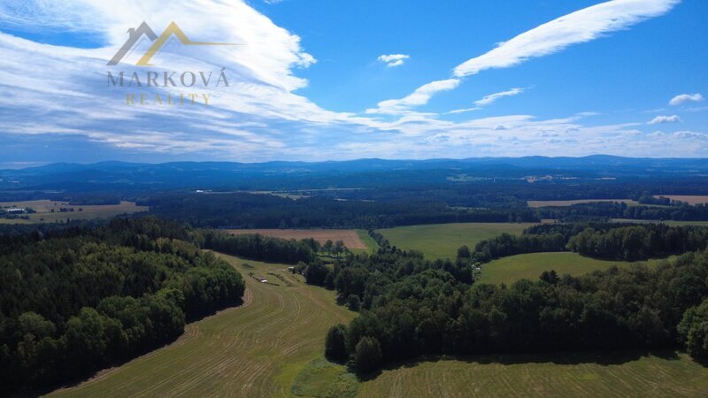 Prodej, rodinný dům, Bujanov, 4 179 m²