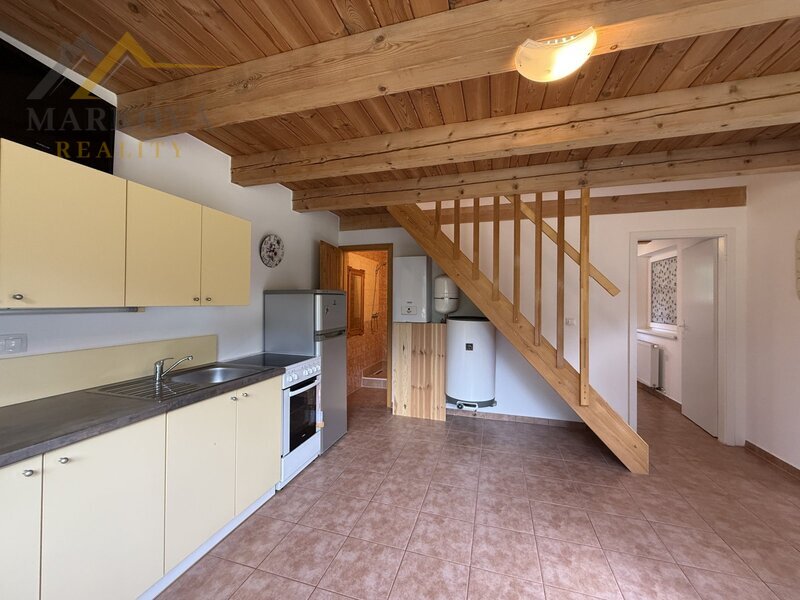 Prodej, rodinný dům, Bujanov, 4 179 m²