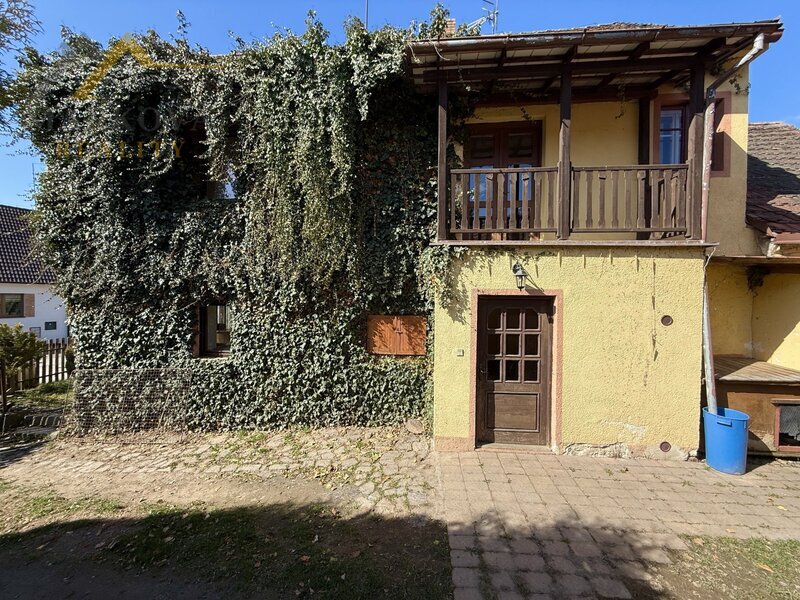 Prodej, rodinný dům, Koloděje nad Lužnicí, 803 m2