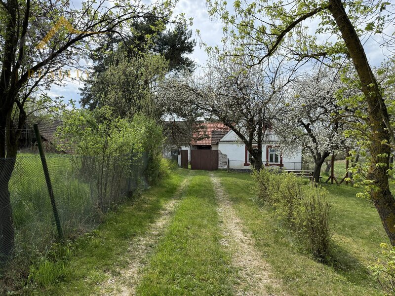 Prodej, chalupa, Doubrava, 1 406 m²