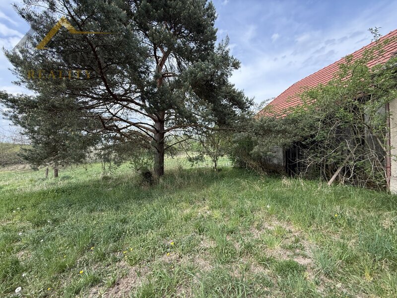Prodej, chalupa, Doubrava, 1 406 m²