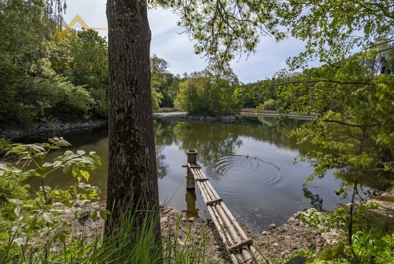 Prodej, historická tvrz s rybníkem, Jistebnice, 19.200 m²