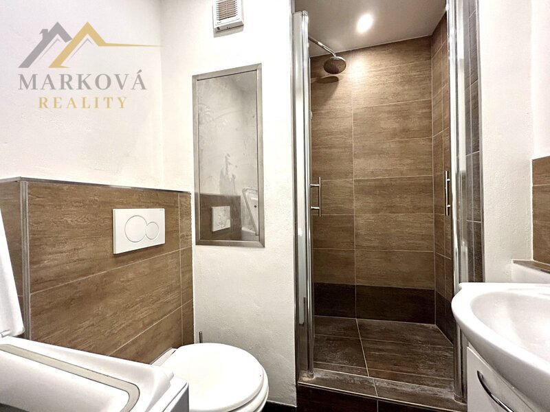 Pronájem bytu 1kk, 29 m2, J. Buděšínského