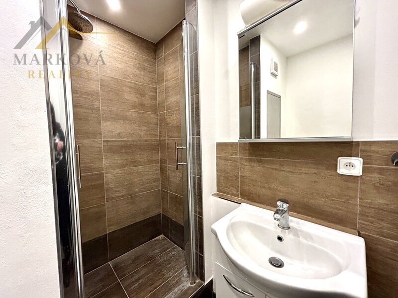 Pronájem bytu 1kk, 29 m2, J. Buděšínského