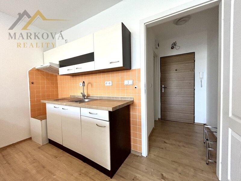 Pronájem bytu 1kk, 29 m2, J. Buděšínského