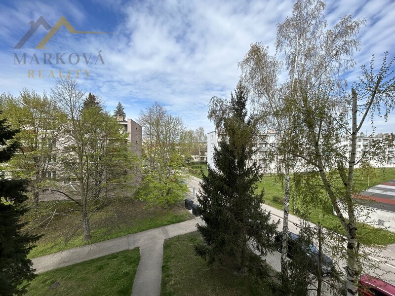 Pronájem bytu 1kk, 29 m2, J. Buděšínského