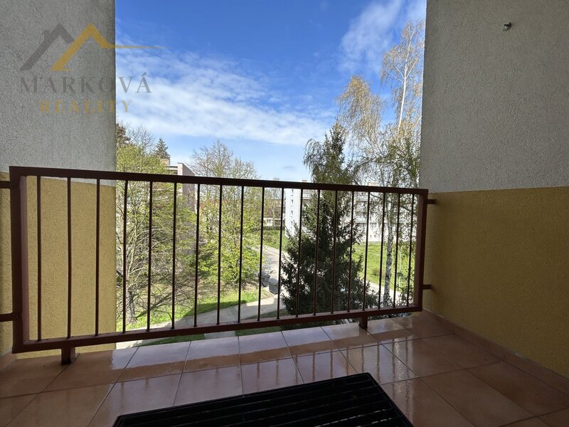 Pronájem bytu 1kk, 29 m2, J. Buděšínského