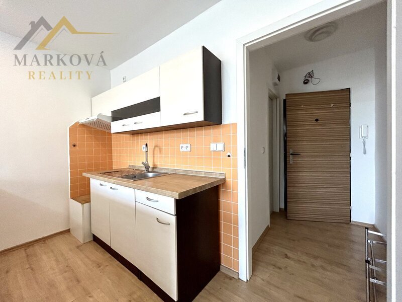 Pronájem bytu 1kk, 29 m2, J. Buděšínského