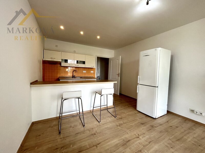 Pronájem bytu 1kk, 29 m2, J. Buděšínského