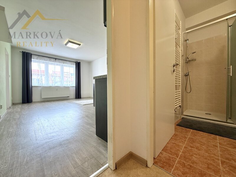 Prodej, byt 2kk, 43,95 m2, České Budějovice, ul. Skuherského