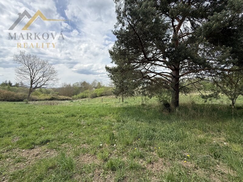 Prodej, chalupa, Doubrava, 1 406 m²